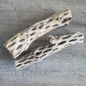 6" Cholla Wood, 2 pieces